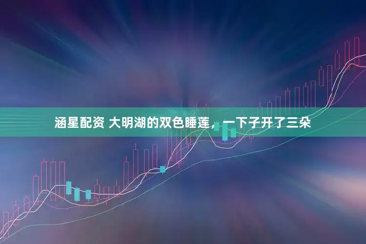 涵星配资 大明湖的双色睡莲，一下子开了三朵