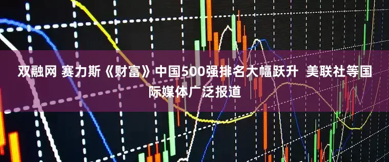 双融网 赛力斯《财富》中国500强排名大幅跃升  美联社等国际媒体广泛报道