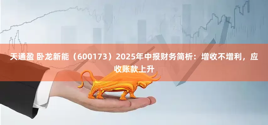 天通盈 卧龙新能（600173）2025年中报财务简析：增收不增利，应收账款上升