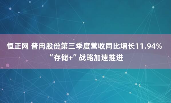恒正网 普冉股份第三季度营收同比增长11.94% “存储+”战略加速推进